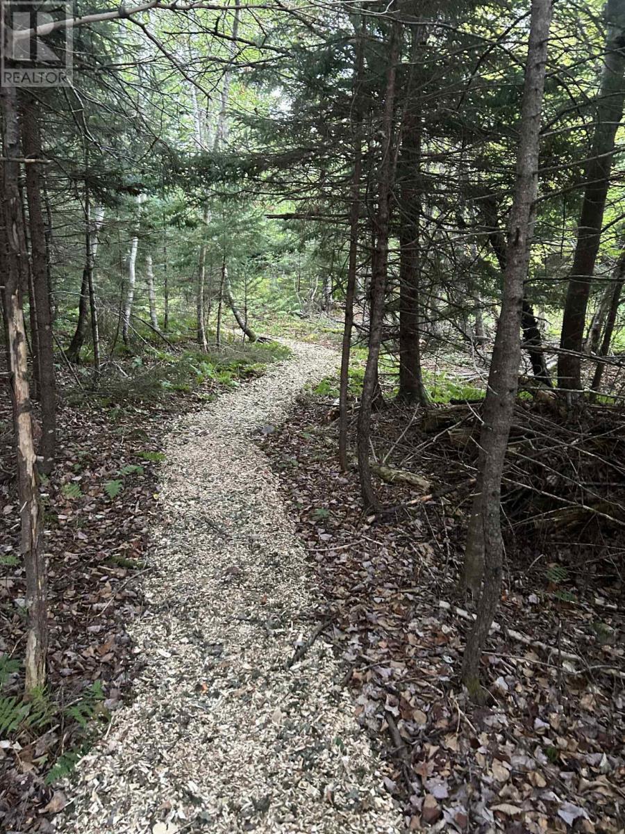 30 Terry Road, Windsor Junction, Nova Scotia  B2T 1G4 - Photo 8 - 202603304