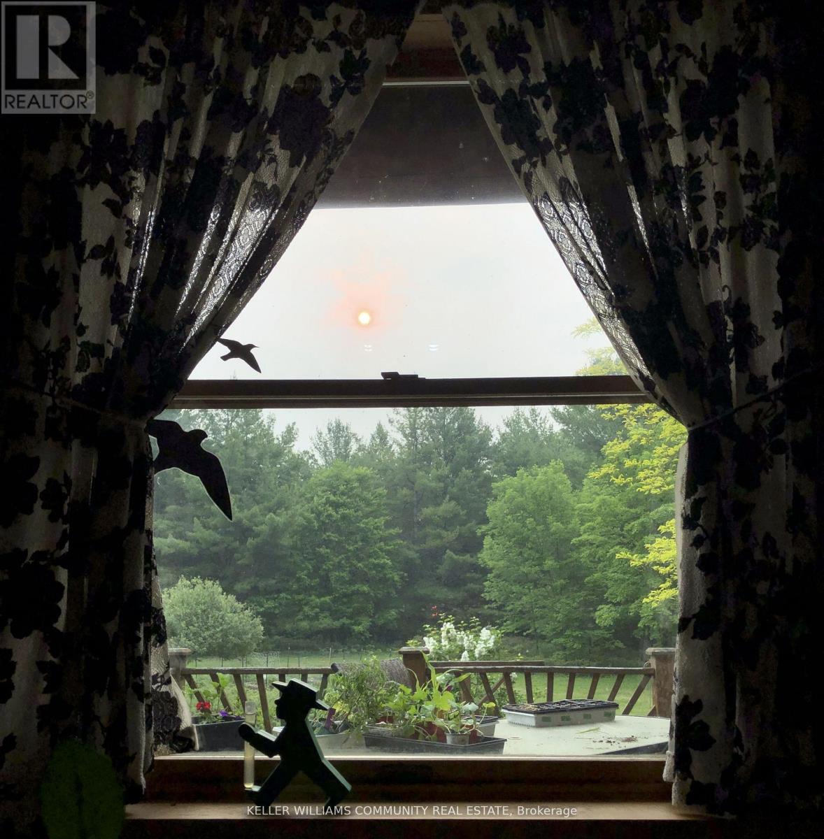 197 Hillside Drive, Kawartha Lakes, Ontario  K0M 1C0 - Photo 44 - X12815536