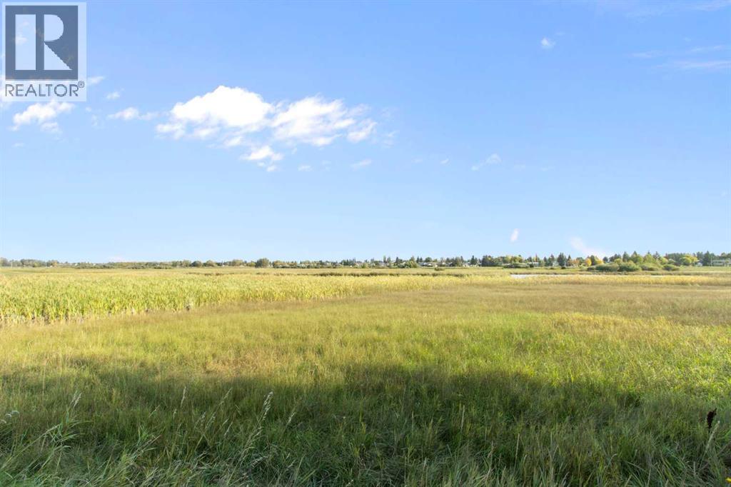 100 Lakeside View, Strathmore, Alberta  T1P 1Z7 - Photo 41 - A2281415