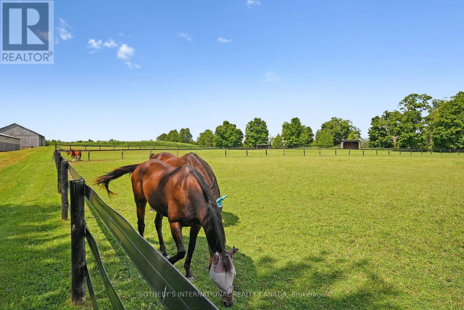 4085 Victoria Road S, Puslinch, Ontario  N0B 2J0 - Photo 50 - X12815460