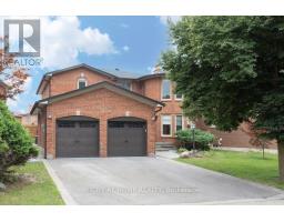 LOWER - 42 ARMOUR STREET, Vaughan, Ontario