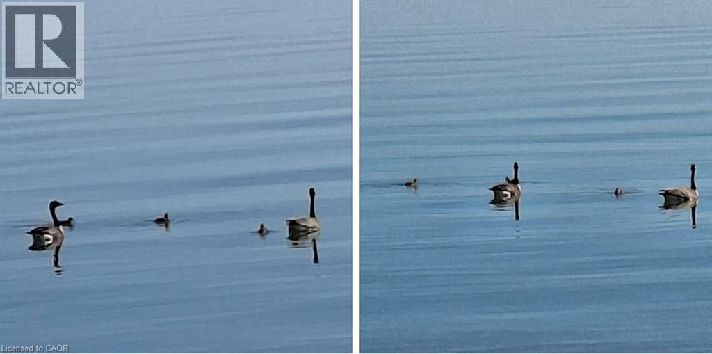 17 Maple Lane, Rainham, Ontario  N0A 1P0 - Photo 36 - 40800583