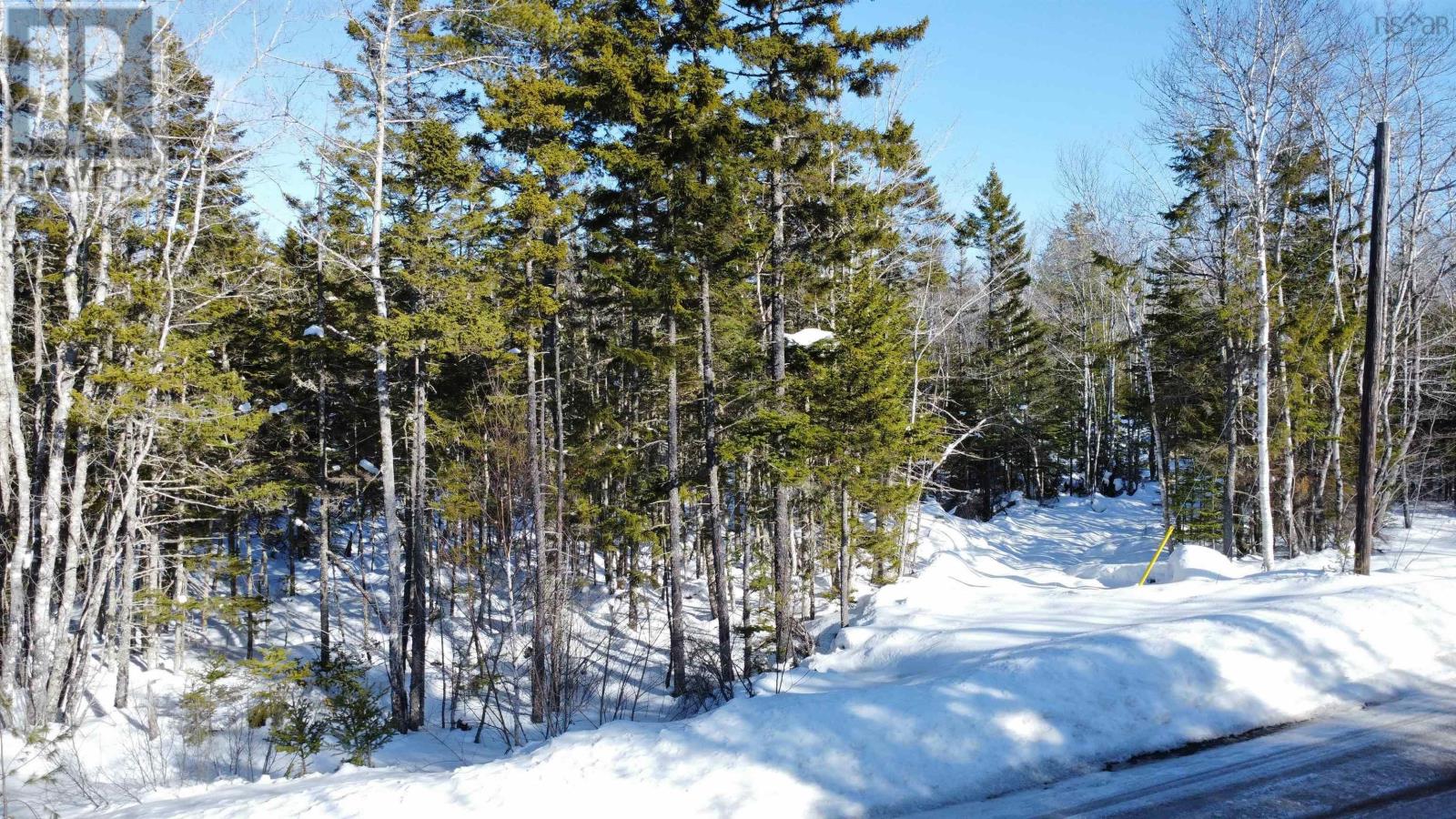 13 Trout Lake Road, New Albany, Nova Scotia  B0S 1P0 - Photo 2 - 202603311