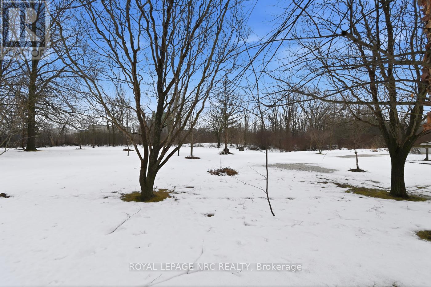 14 Terrace Avenue, Welland, Ontario  L3C 2C4 - Photo 32 - X12808136