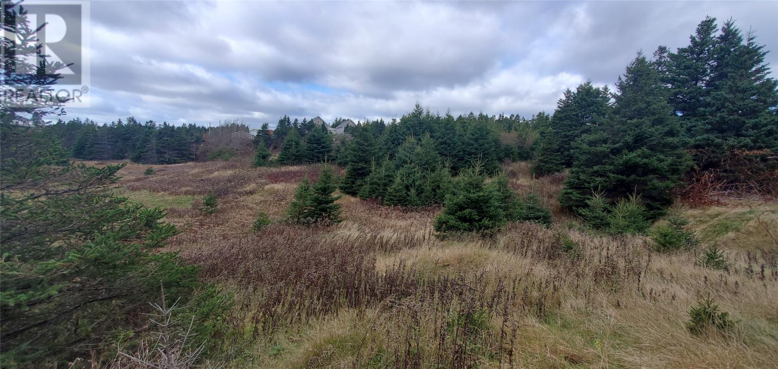 15 Bayview Street, Marystown, Newfoundland & Labrador  A0E 2M0 - Photo 7 - 1287741