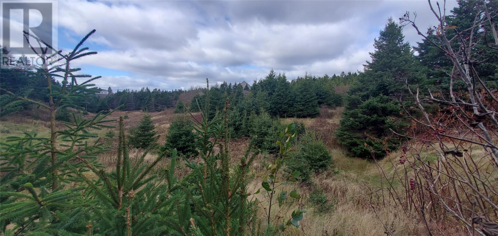 15 Bayview Street, Marystown, Newfoundland & Labrador  A0E 2M0 - Photo 6 - 1287741