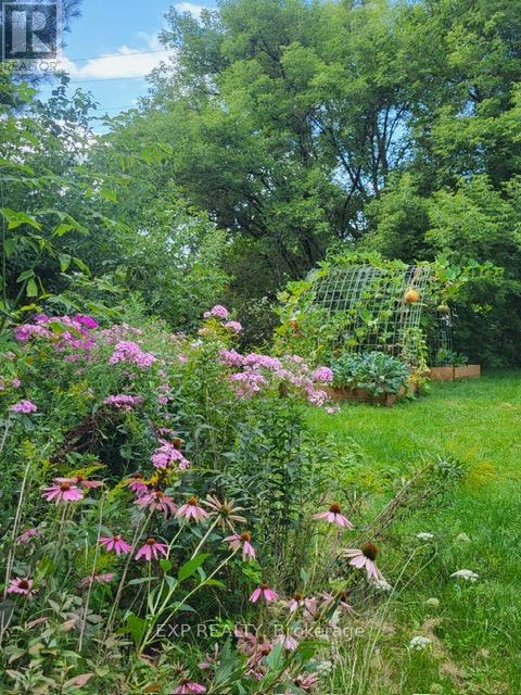 6 Union Street, Stone Mills, Ontario  K0K 1Z0 - Photo 32 - X12816256