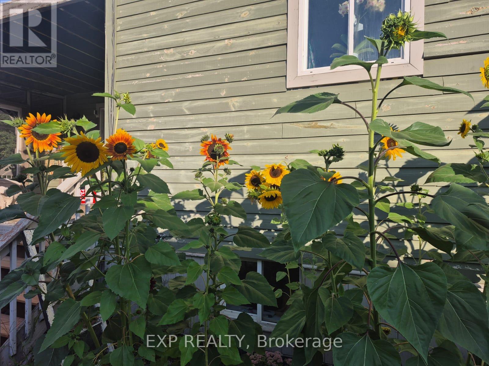 6 Union Street, Stone Mills, Ontario  K0K 1Z0 - Photo 34 - X12816256