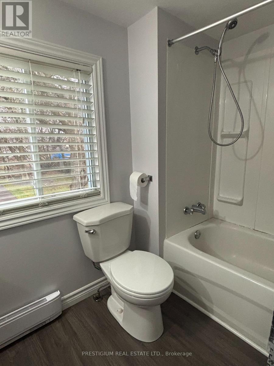 169 East Balfour Street, Sault Ste Marie, Ontario  P6C 1X7 - Photo 13 - X12816136