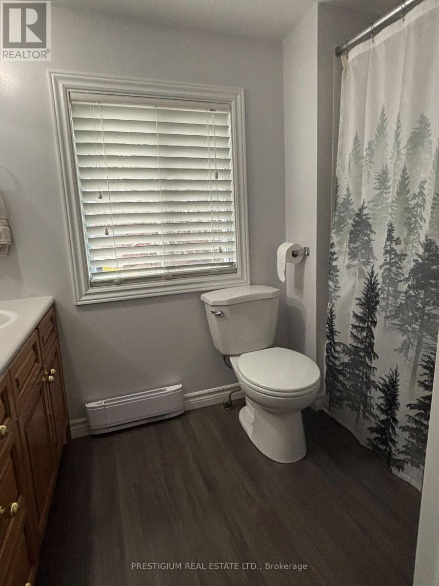 169 East Balfour Street, Sault Ste Marie, Ontario  P6C 1X7 - Photo 14 - X12816136