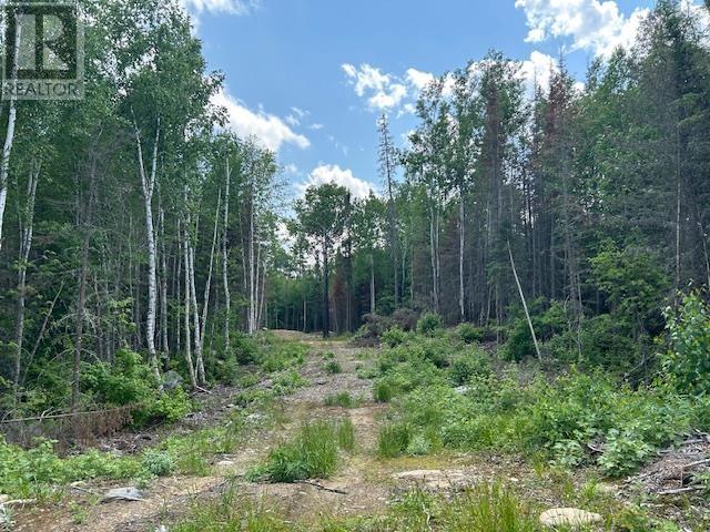 Lot 14 Peterkin Lake Rd., Unorganized, Ontario  P0T 2T0 - Photo 11 - TB252892