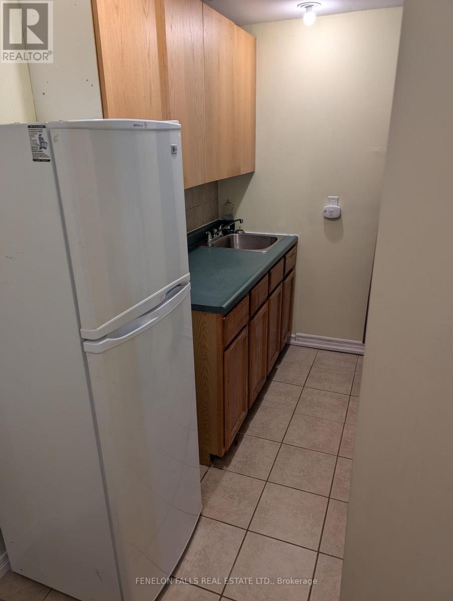 180 Orchard Park Road, Kawartha Lakes, Ontario  K9V 6A6 - Photo 32 - X12555572