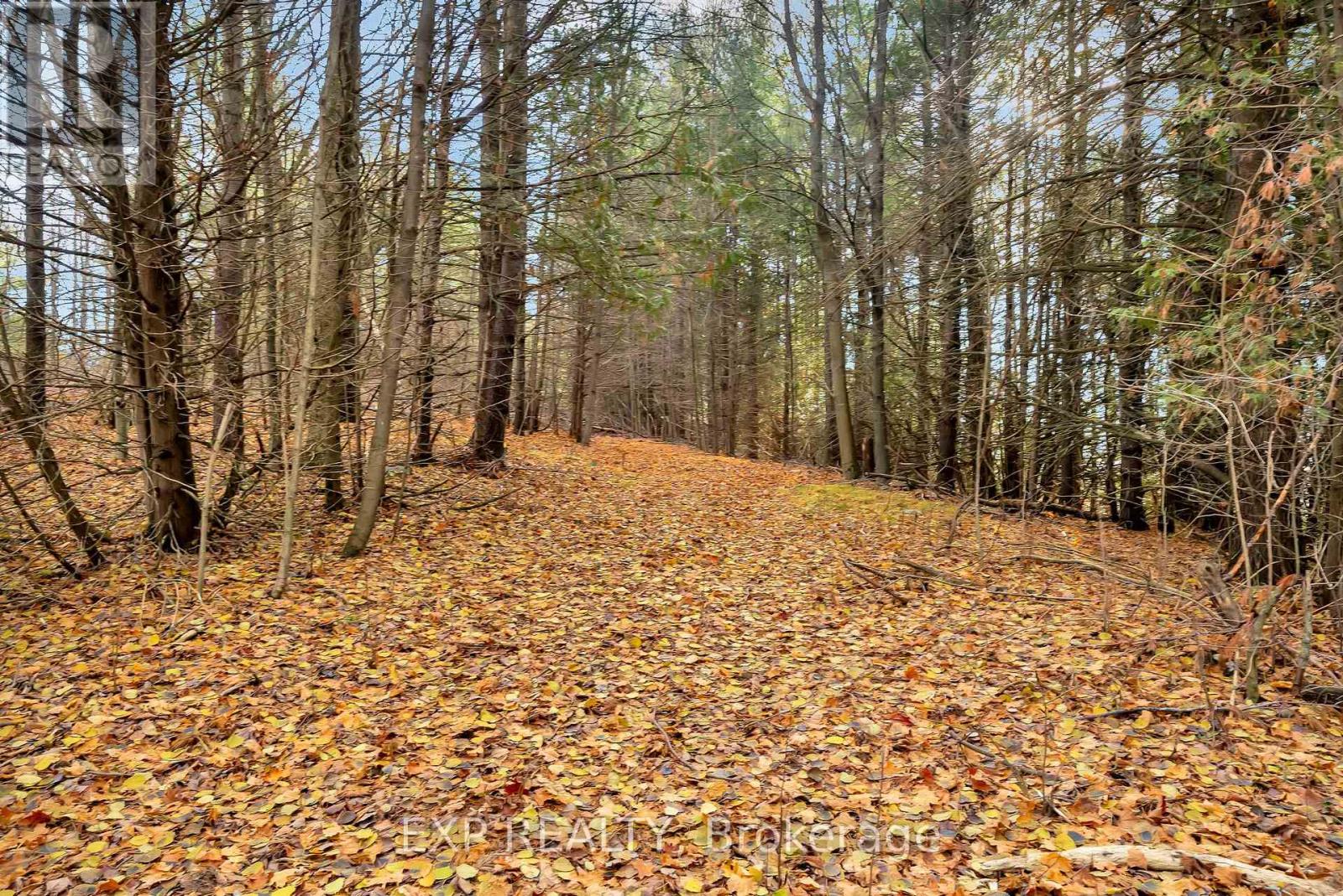 266 School House Road, Centre Hastings, Ontario  K0K 3E0 - Photo 47 - X12572116