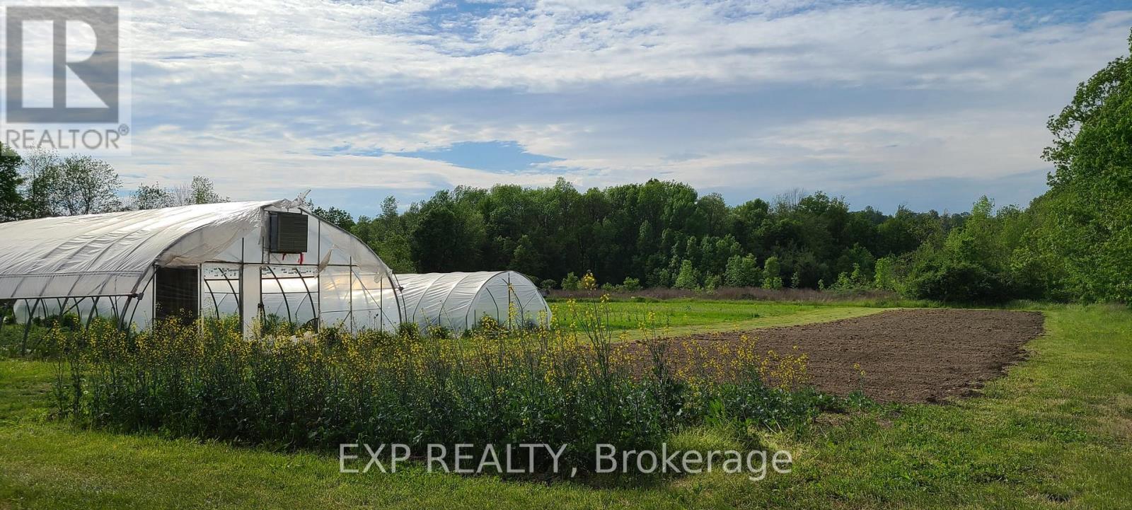 81 Morrison Point, Prince Edward County (South Marysburg Ward), Ontario  K0K 2P0 - Photo 29 - X12788992