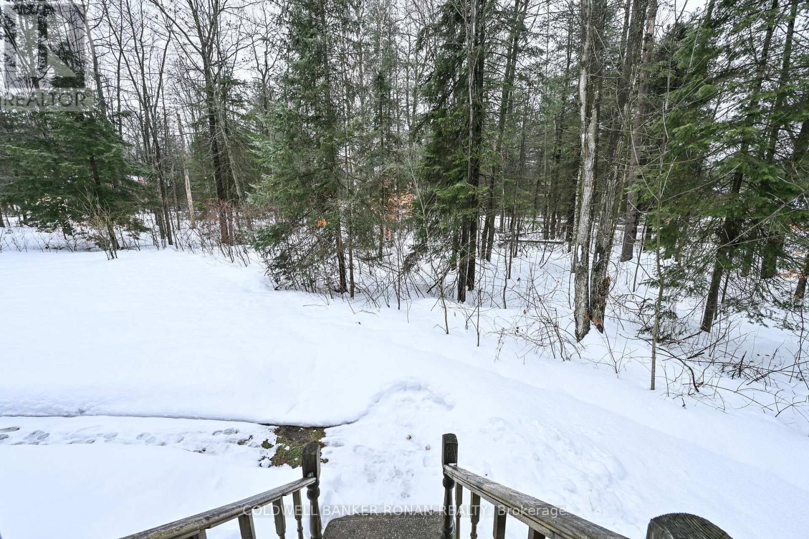 2 Trillium Trail, Adjala-Tosorontio, Ontario  L0M 1J0 - Photo 28 - N12816322