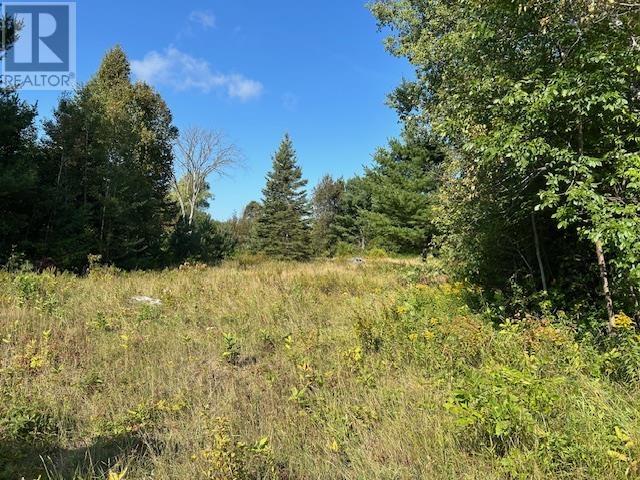 13 Riverview Dr, Iron Bridge, Ontario P0R 1H0 - Photo 1 - SM252457