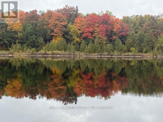 4868 Battersea Road, Frontenac, Ontario  K0H 2H0 - Photo 2 - X12816390