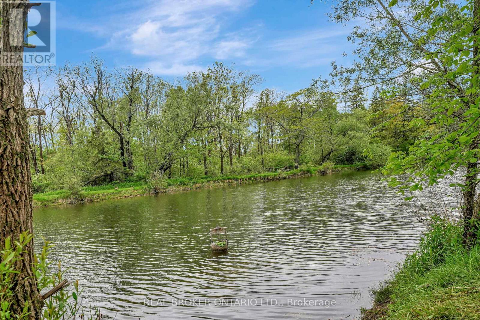 B - 729 Mount Pleasant Road, Brant, Ontario  N0E 1K0 - Photo 13 - X12816458