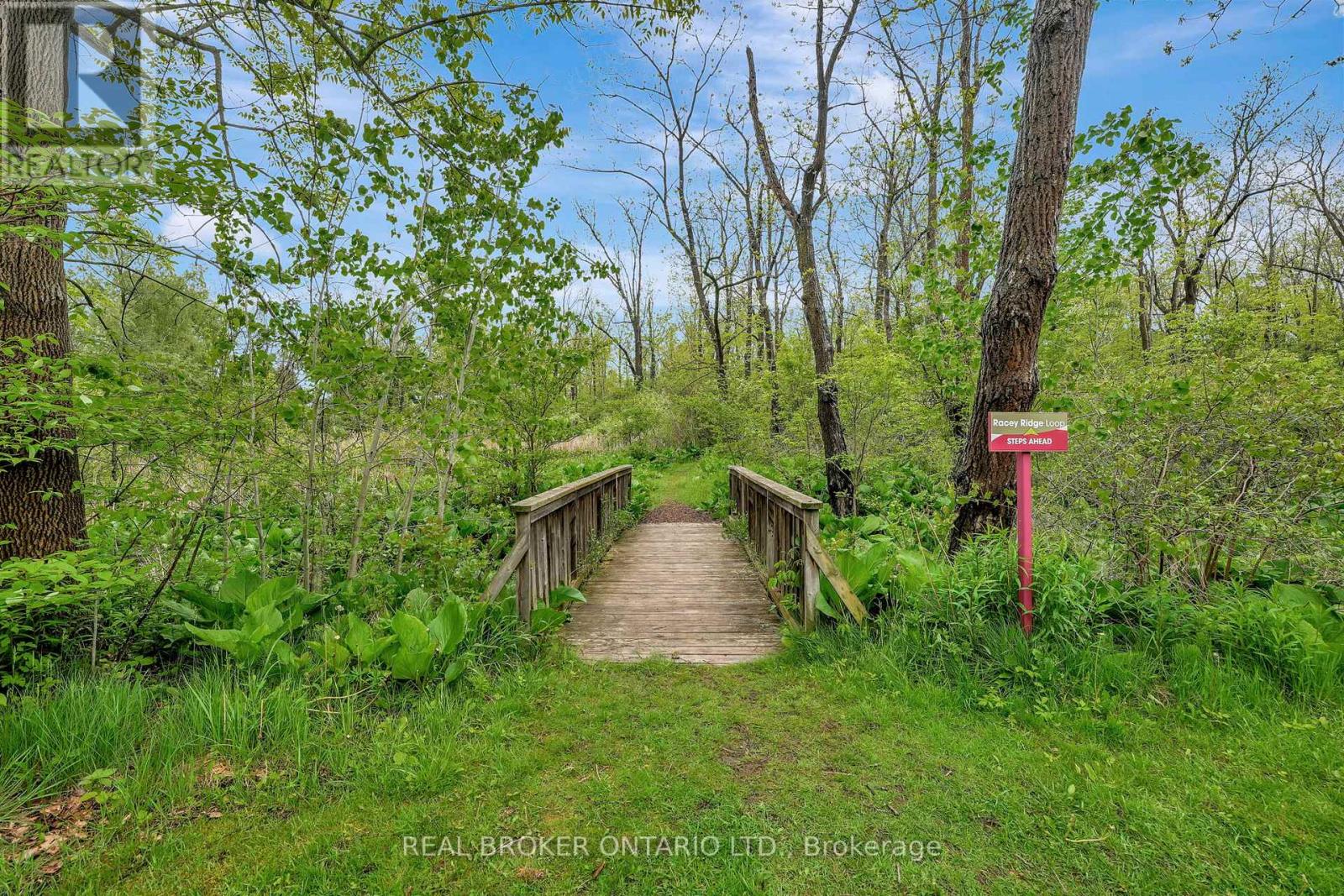 B - 729 Mount Pleasant Road, Brant, Ontario  N0E 1K0 - Photo 17 - X12816458