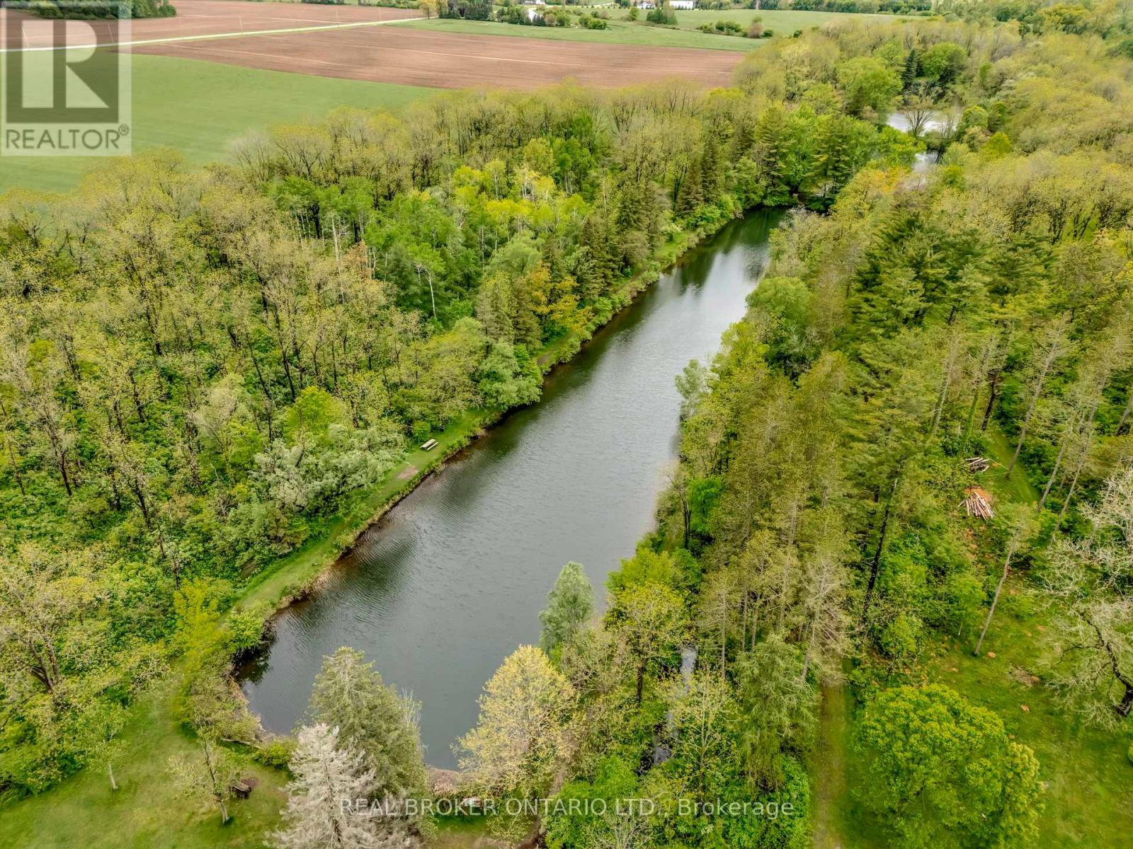 B - 729 Mount Pleasant Road, Brant, Ontario  N0E 1K0 - Photo 5 - X12816458