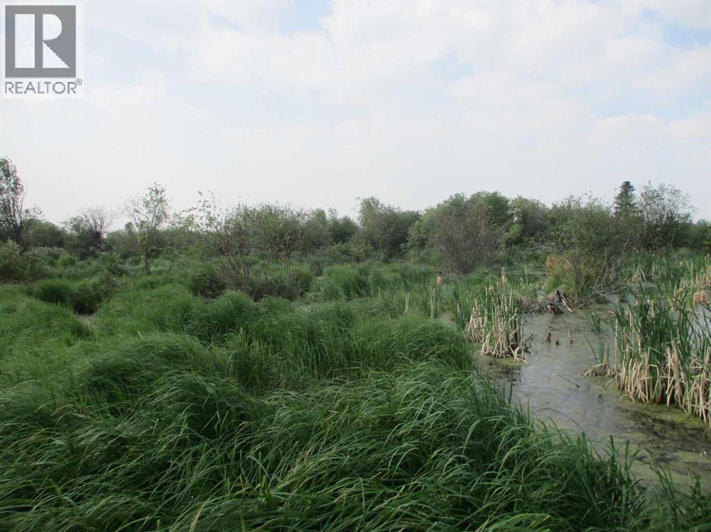920072 Rge Rd 232, Rural Northern Lights, Alberta  T0H 2M0 - Photo 49 - A2229796