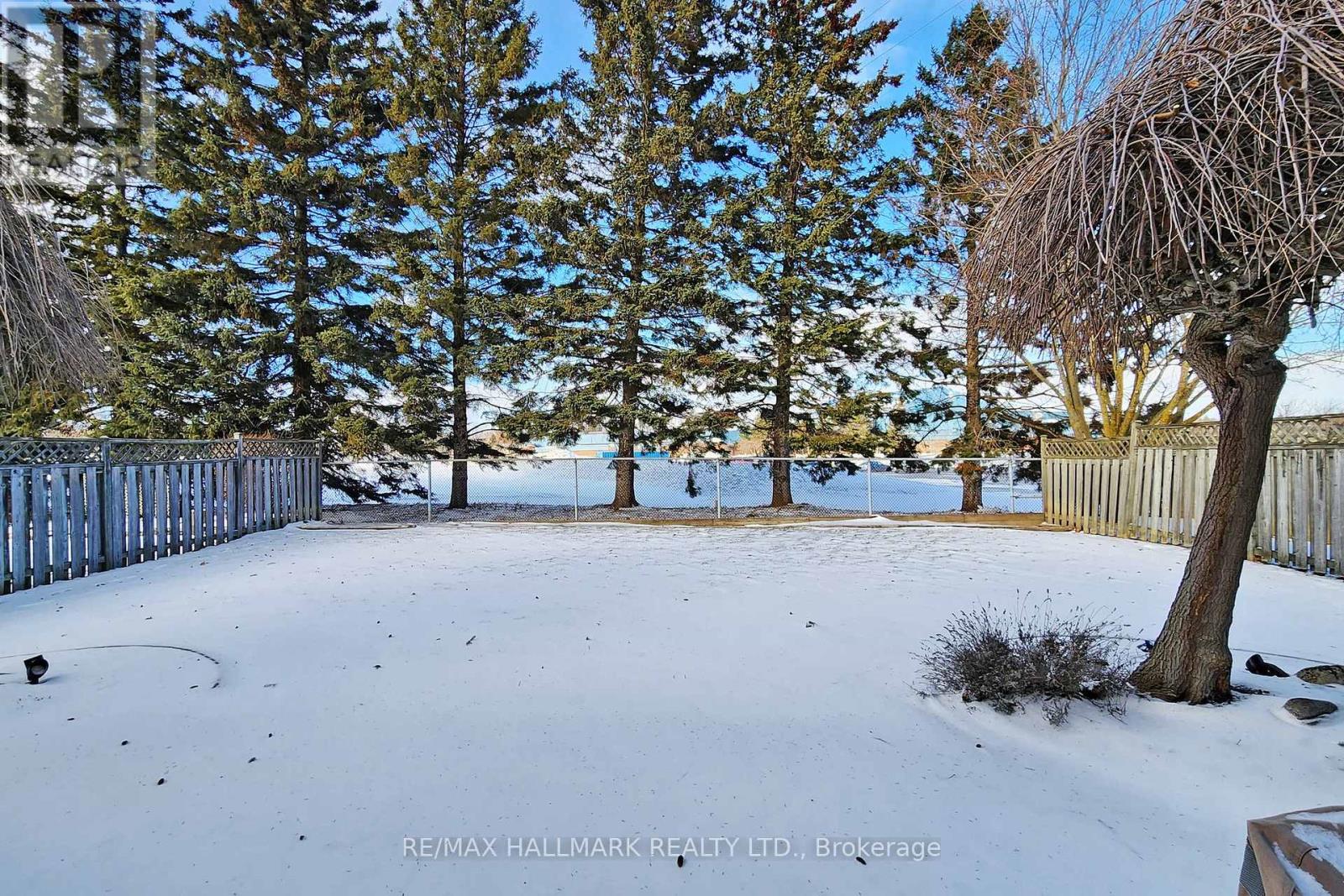 197 Mccaffrey Road, Newmarket, Ontario  L3X 1K1 - Photo 36 - N12816654