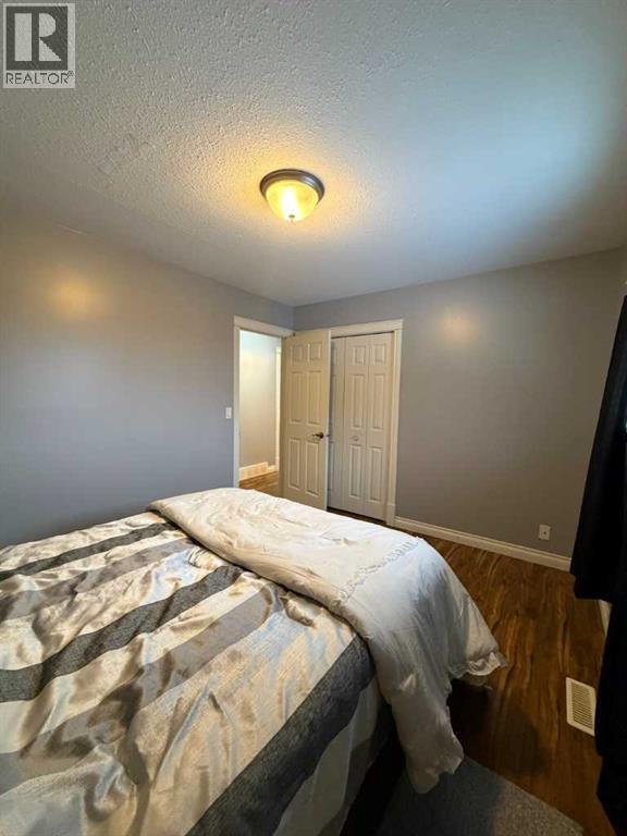 100 Balaclava Street, Veteran, Alberta  T0C 2S0 - Photo 16 - A2282340