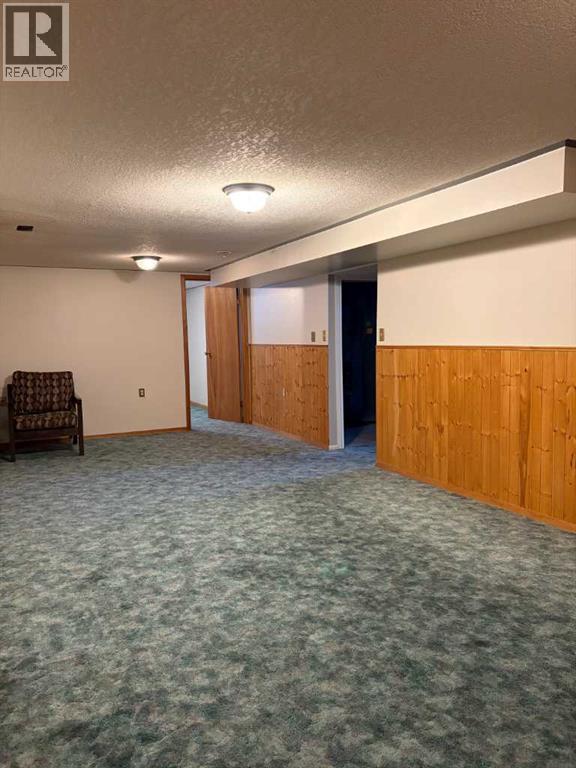 100 Balaclava Street, Veteran, Alberta  T0C 2S0 - Photo 22 - A2282340