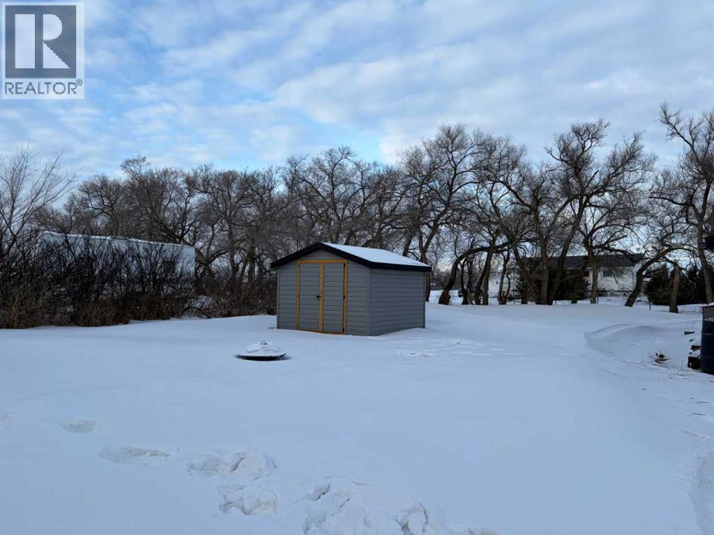 100 Balaclava Street, Veteran, Alberta  T0C 2S0 - Photo 3 - A2282340