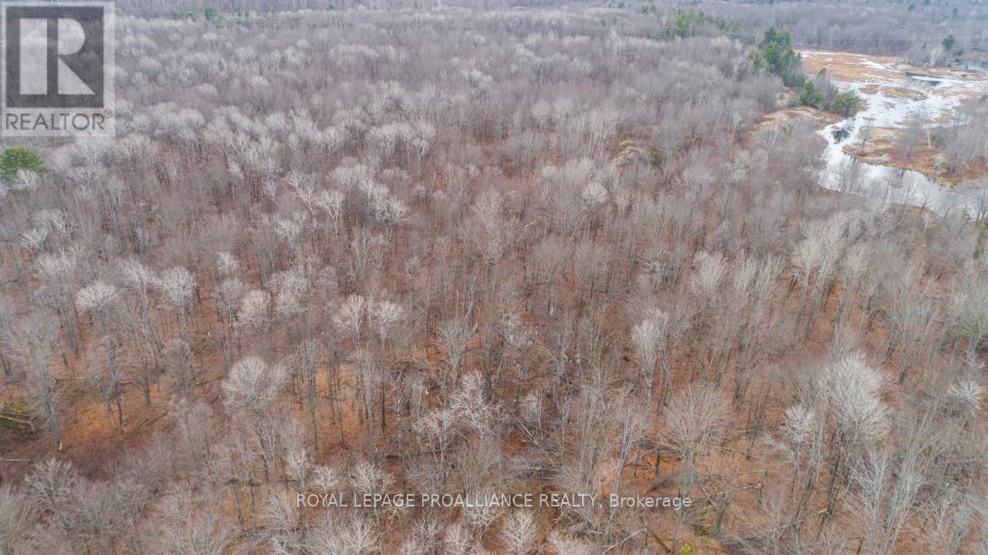 1446 Flinton Road, Tweed (Elzevir (Twp)), Ontario  K0H 1P0 - Photo 11 - X12816752