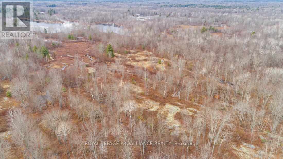 1446 Flinton Road, Tweed (Elzevir (Twp)), Ontario  K0H 1P0 - Photo 13 - X12816752