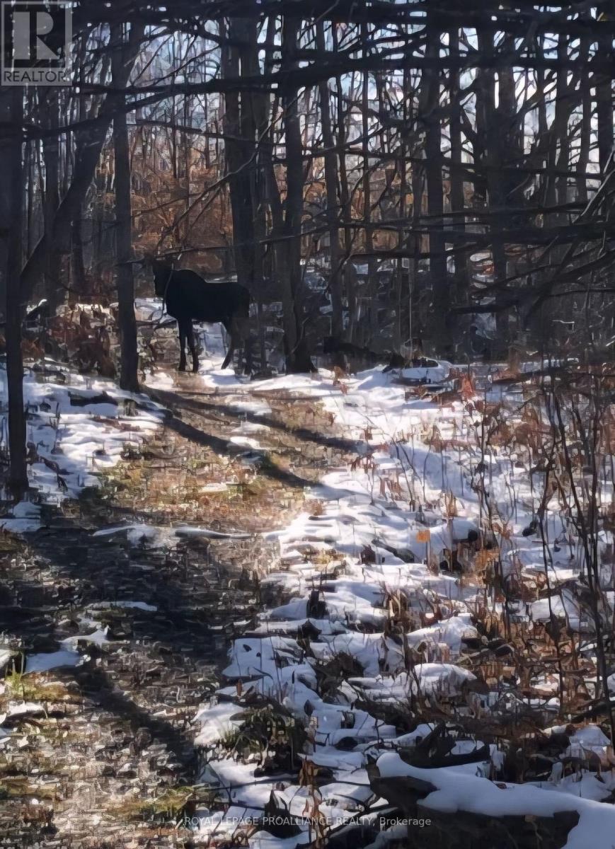 1446 Flinton Road, Tweed (Elzevir (Twp)), Ontario  K0H 1P0 - Photo 21 - X12816752