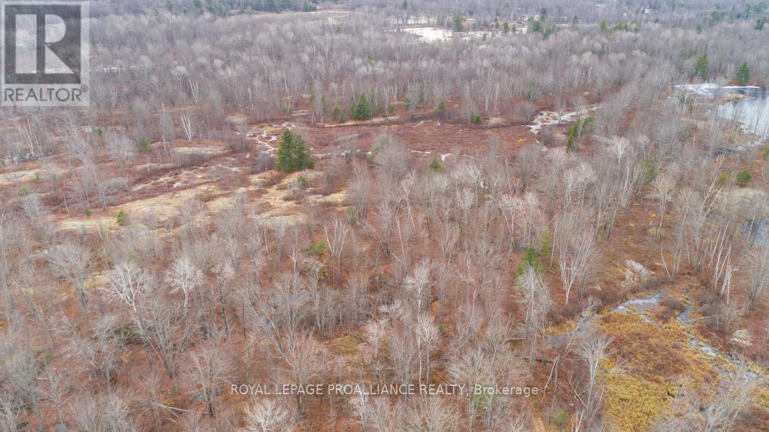 1446 Flinton Road, Tweed (Elzevir (Twp)), Ontario  K0H 1P0 - Photo 4 - X12816752