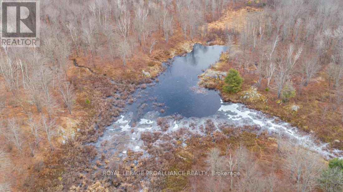 1446 Flinton Road, Tweed (Elzevir (Twp)), Ontario  K0H 1P0 - Photo 7 - X12816752