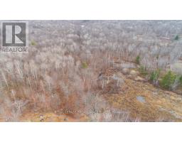 1446 FLINTON ROAD, Tweed, Ontario