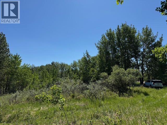 48107 233 Avenue East, Rural Foothills County, Alberta  T1S 4B1 - Photo 9 - A2286464