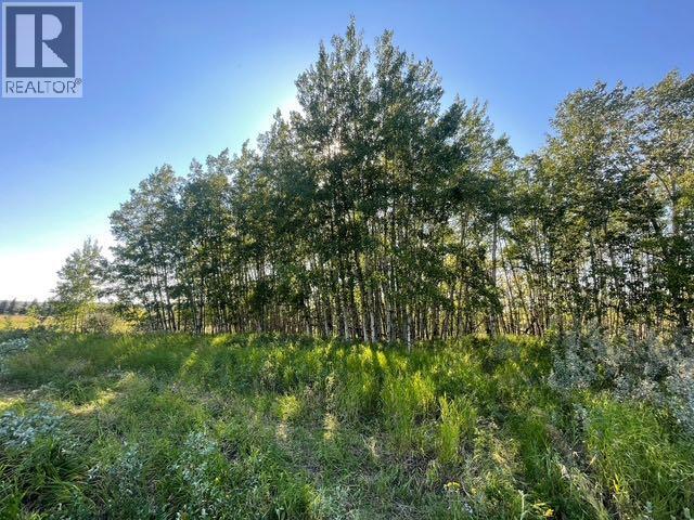 48107 233 Avenue East, Rural Foothills County, Alberta  T1S 4B1 - Photo 6 - A2286464