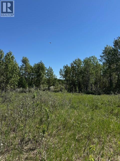 48107 233 Avenue East, Rural Foothills County, Alberta  T1S 4B1 - Photo 11 - A2286464