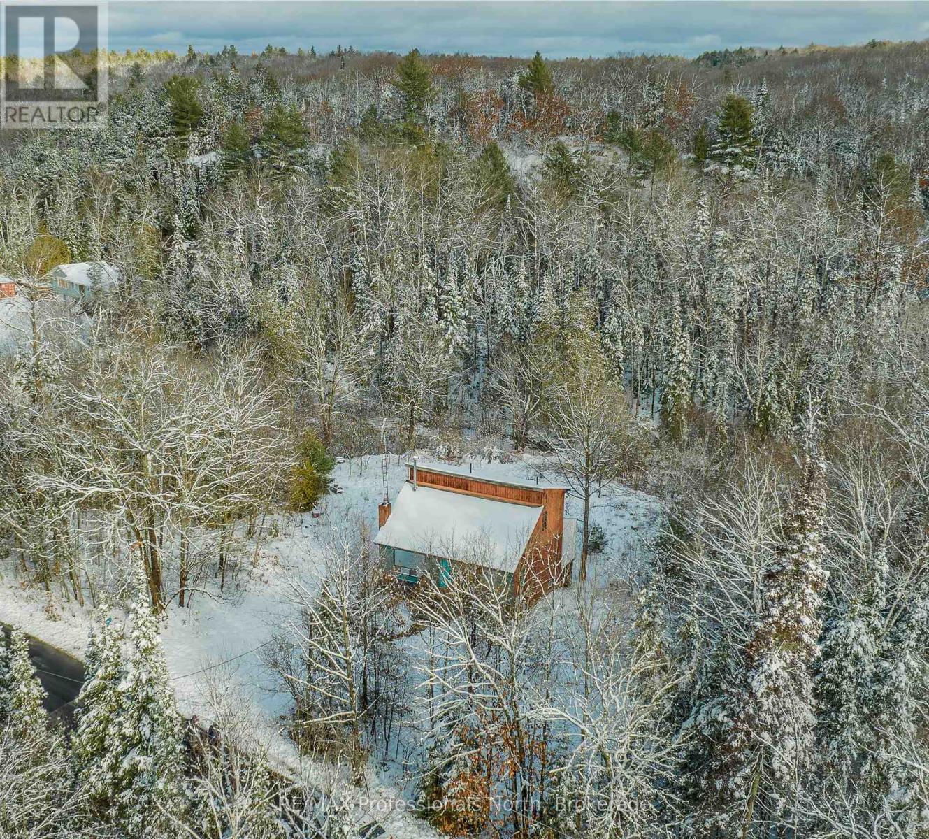 1125 Fairy Falls Road, Lake Of Bays, Ontario  P0B 1A0 - Photo 3 - X12816814
