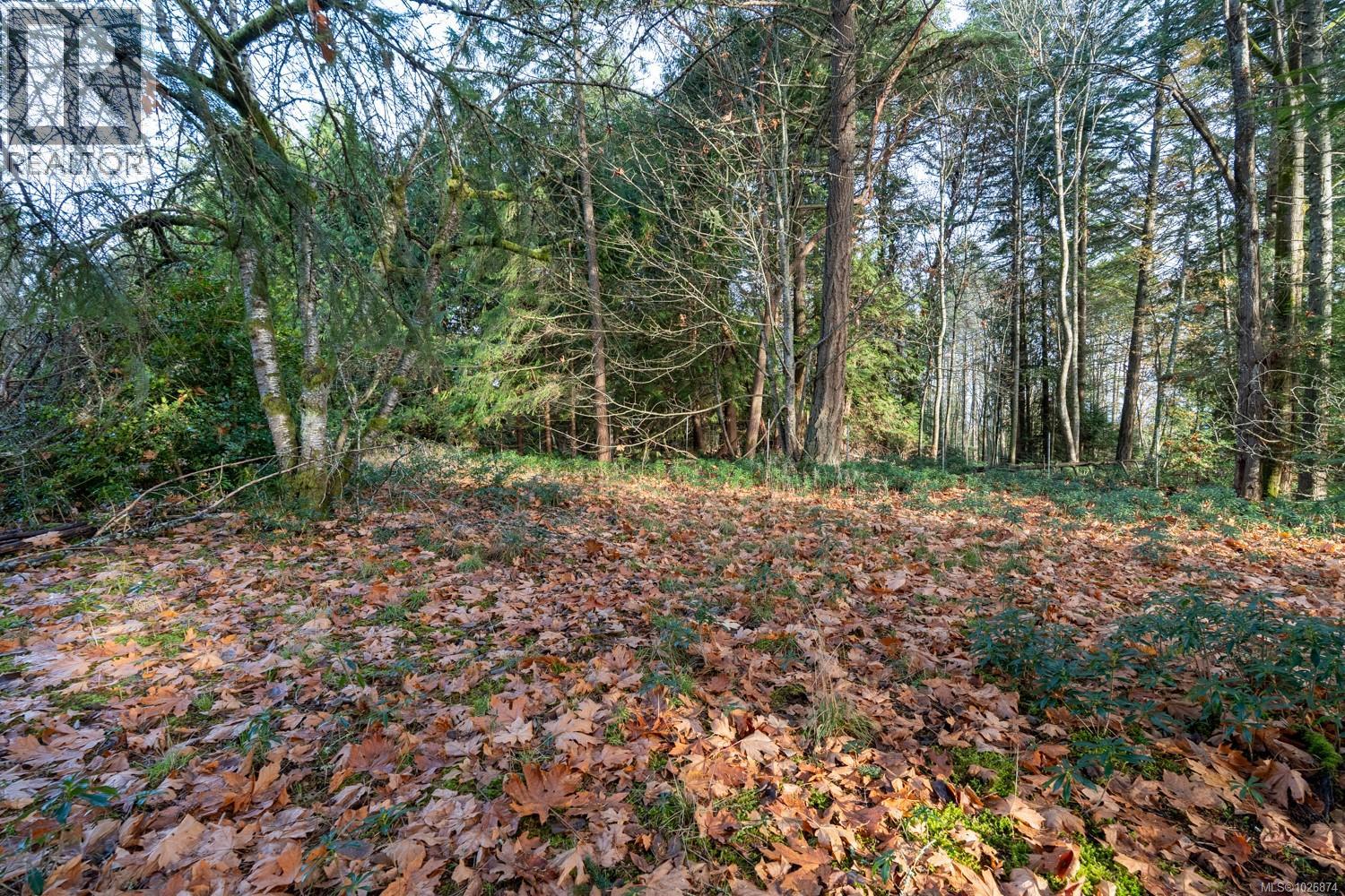 3383 Opal Rd, Nanaimo, British Columbia  V9T 2V6 - Photo 16 - 1026874