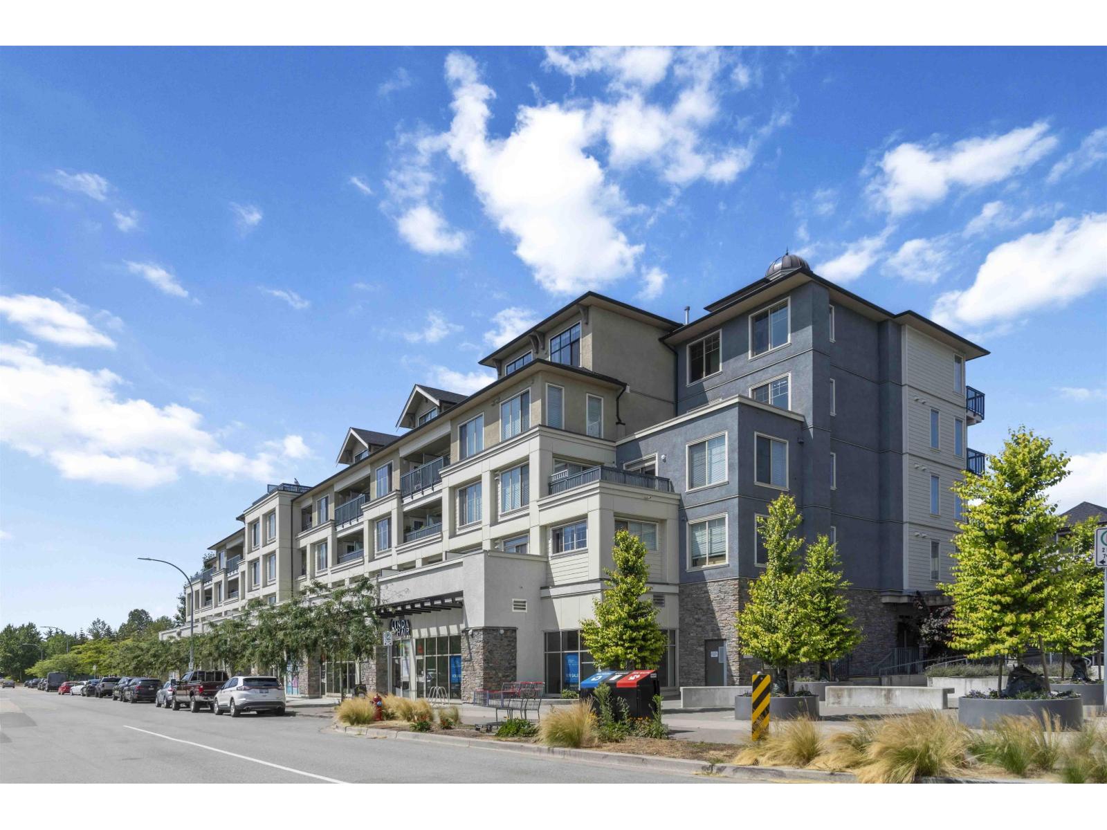 A413 20487 65 Avenue, Langley, British Columbia  V2Y 3K5 - Photo 3 - R3093002