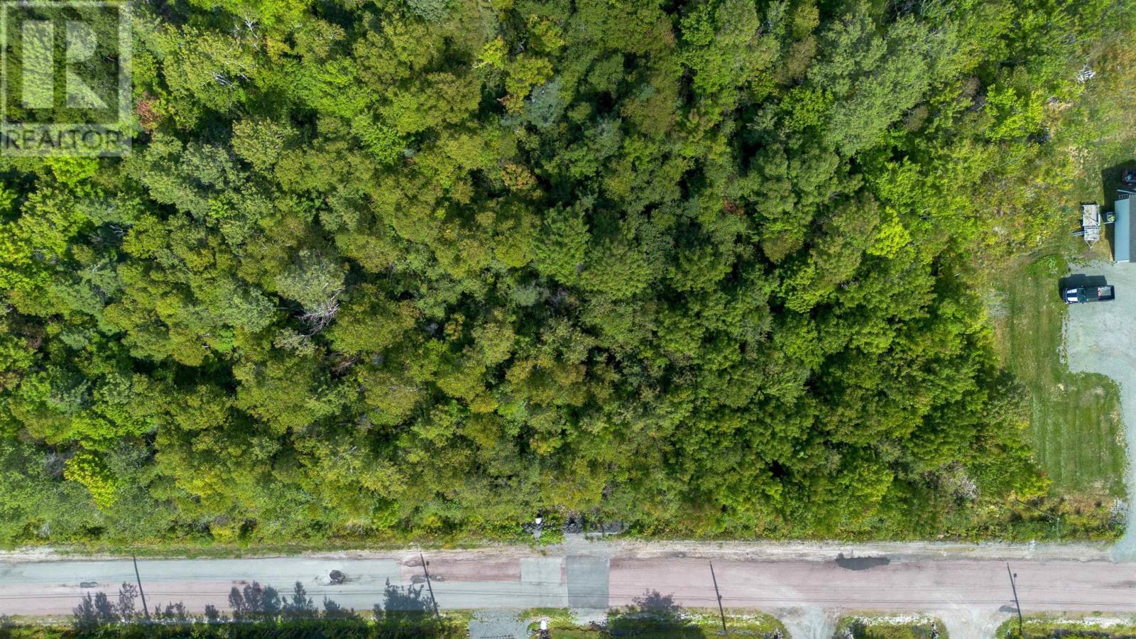 Lorem Ipsum Dolor, Victoria Mines, Nova Scotia  B1N  - Photo 11 - DEMO28885927