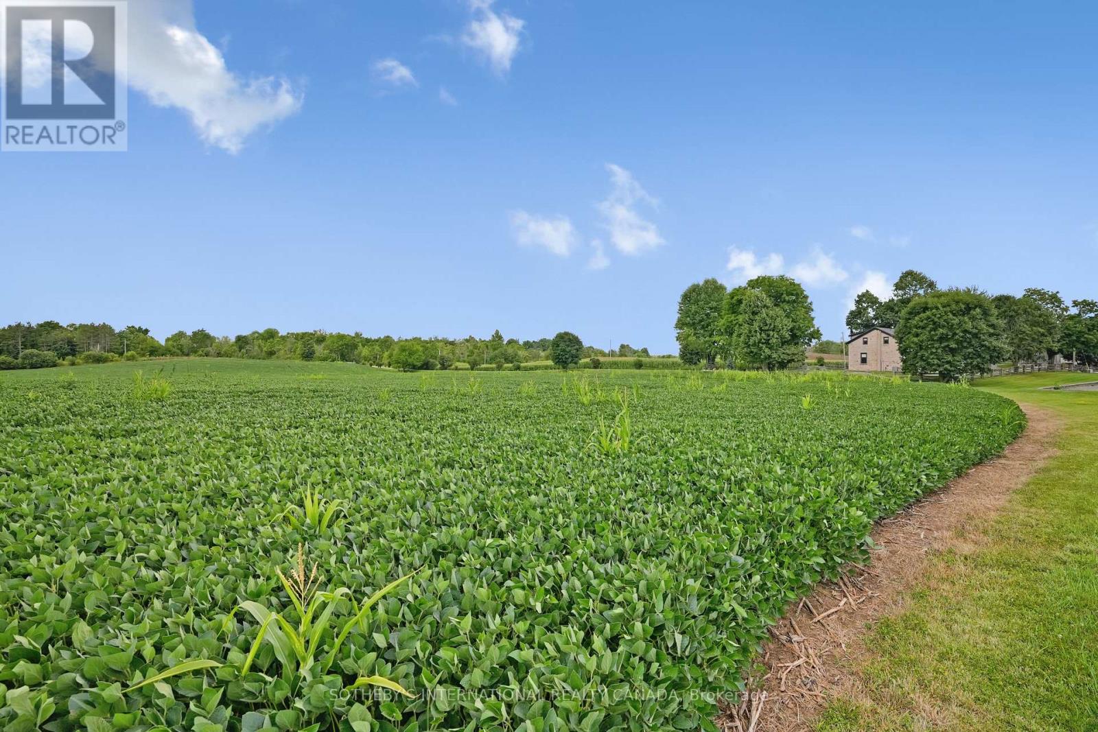 4085 Victoria Road S, Puslinch, Ontario  N0B 2J0 - Photo 45 - X12815460