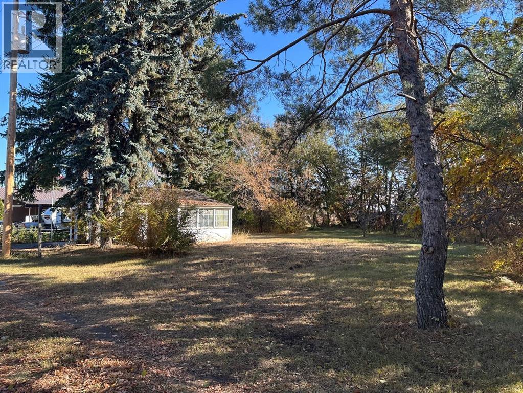 4820 49, Amisk, Alberta  T0B 0B0 - Photo 3 - A2270212