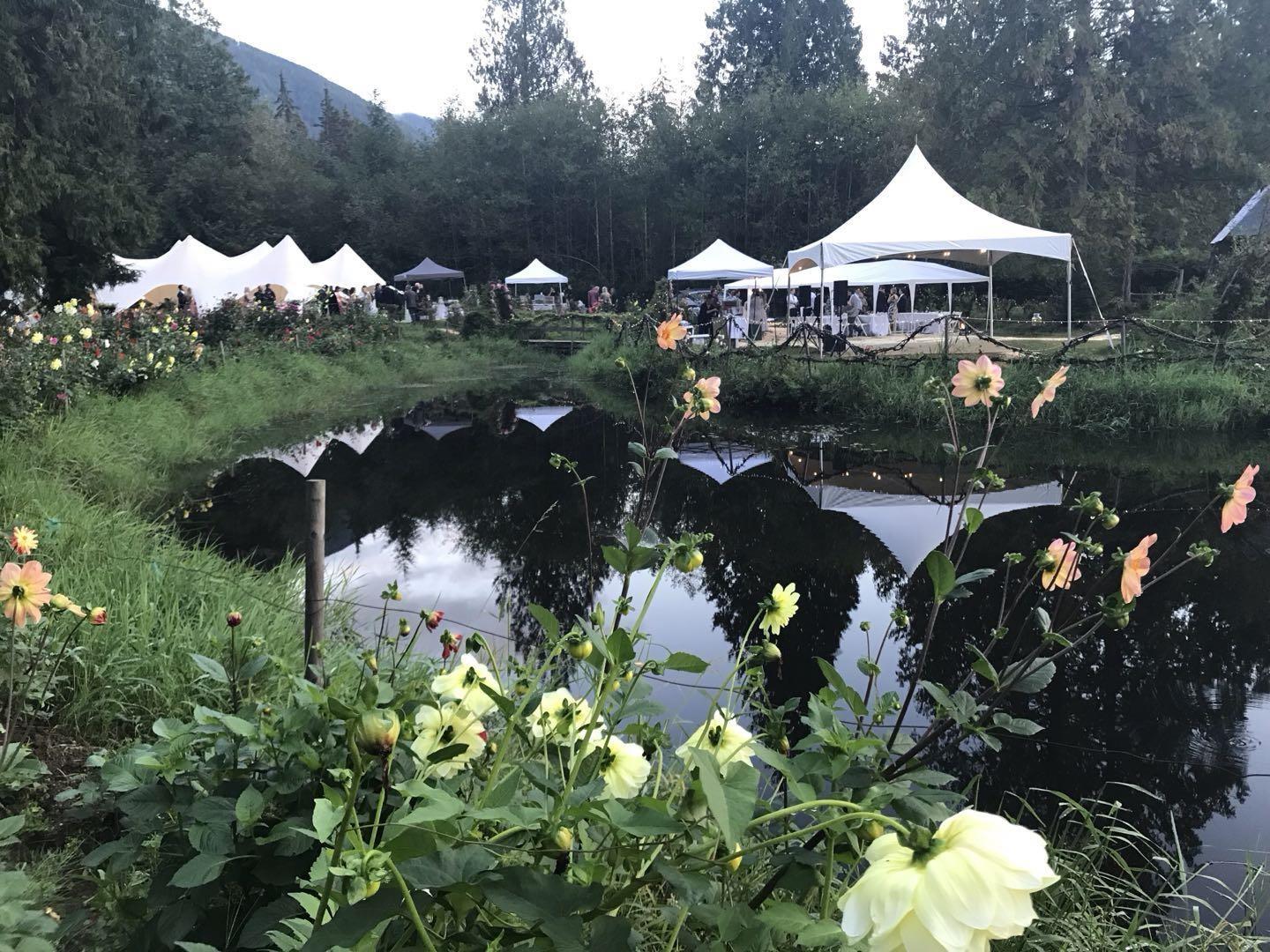 13842 Spratt Road, Mission, British Columbia  V2V 4J1 - Photo 27 - R3037783