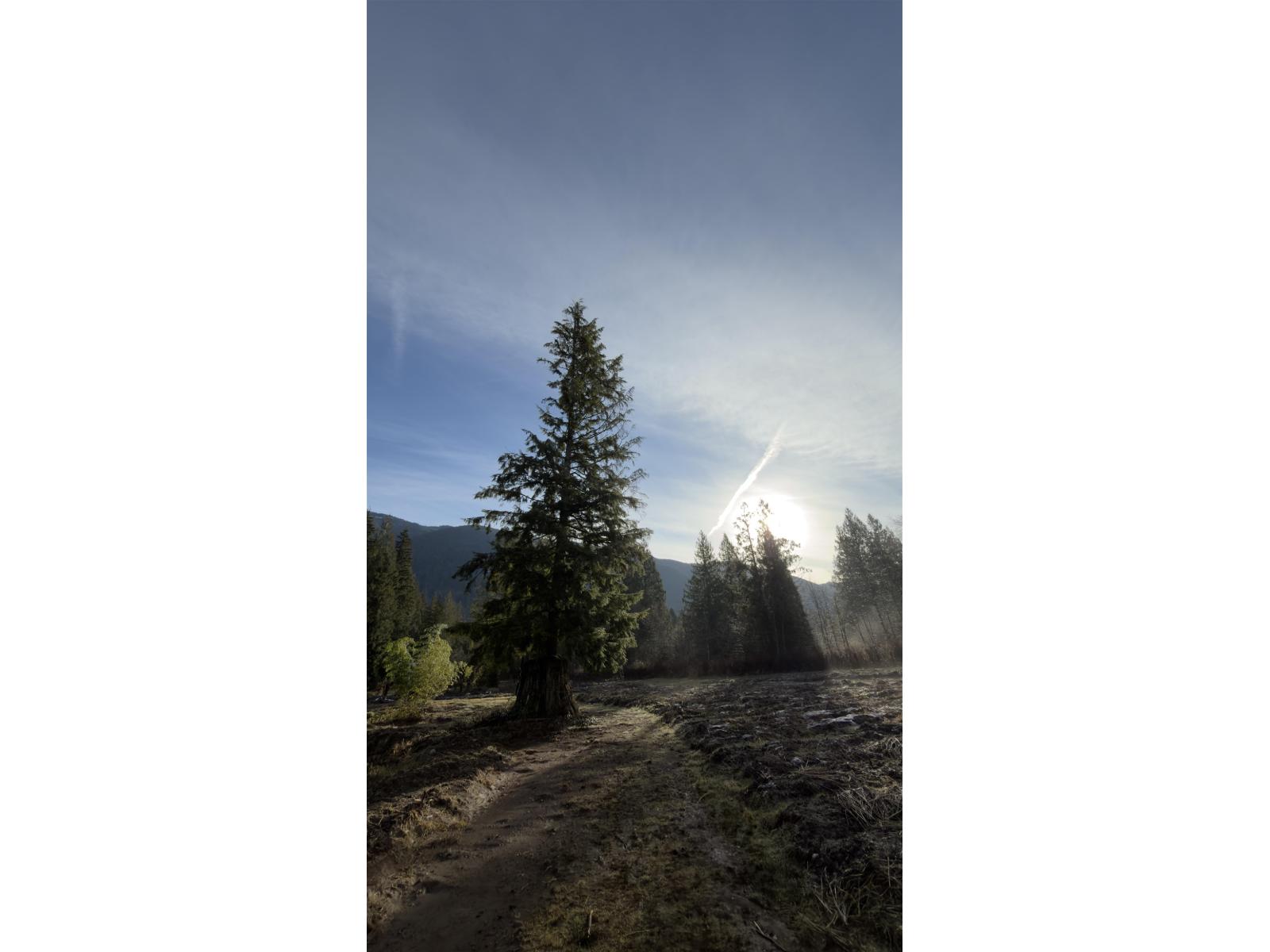 13842 Spratt Road, Mission, British Columbia  V2V 4J1 - Photo 21 - R3037783