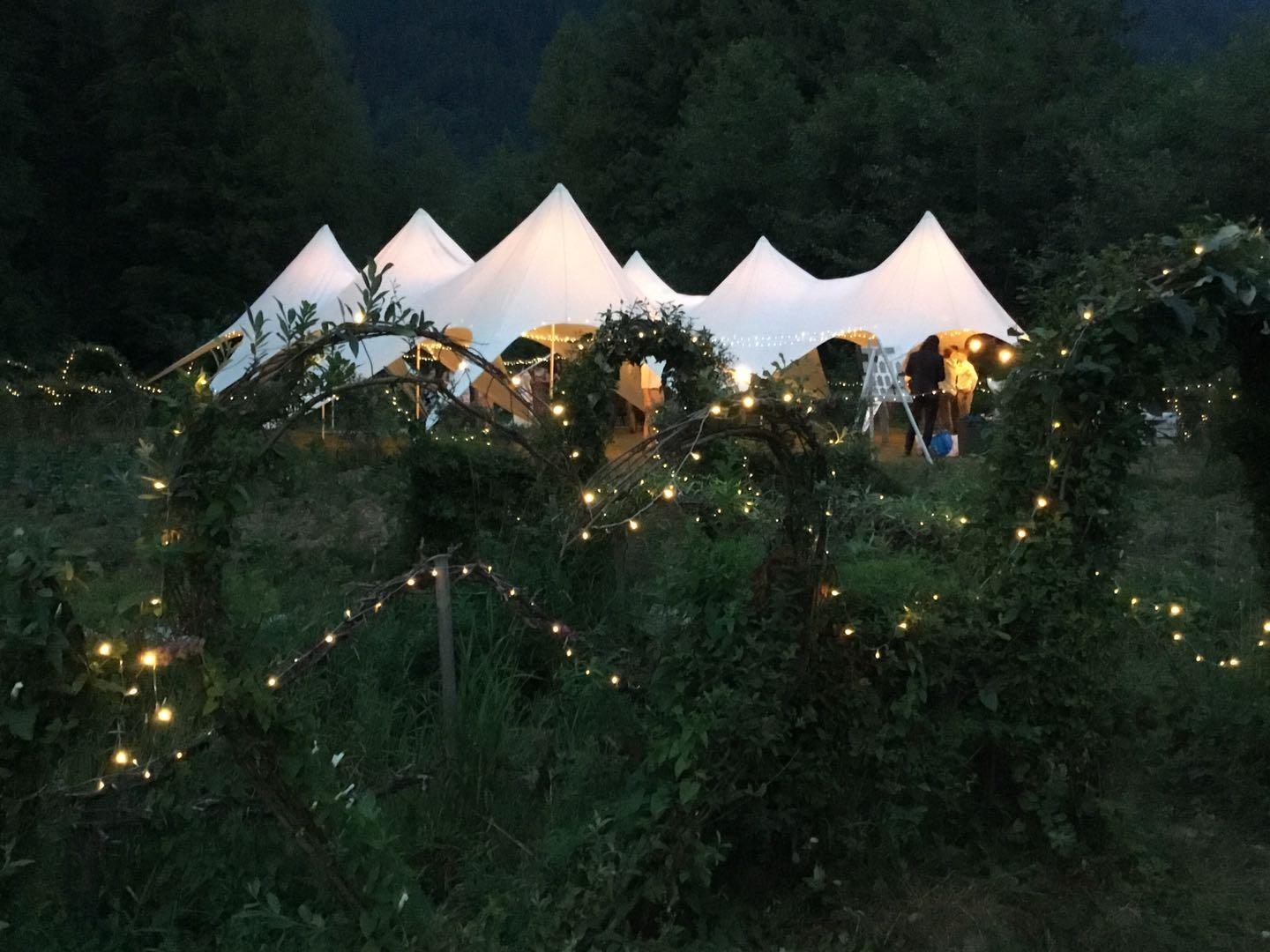 13842 Spratt Road, Mission, British Columbia  V2V 4J1 - Photo 33 - R3037783