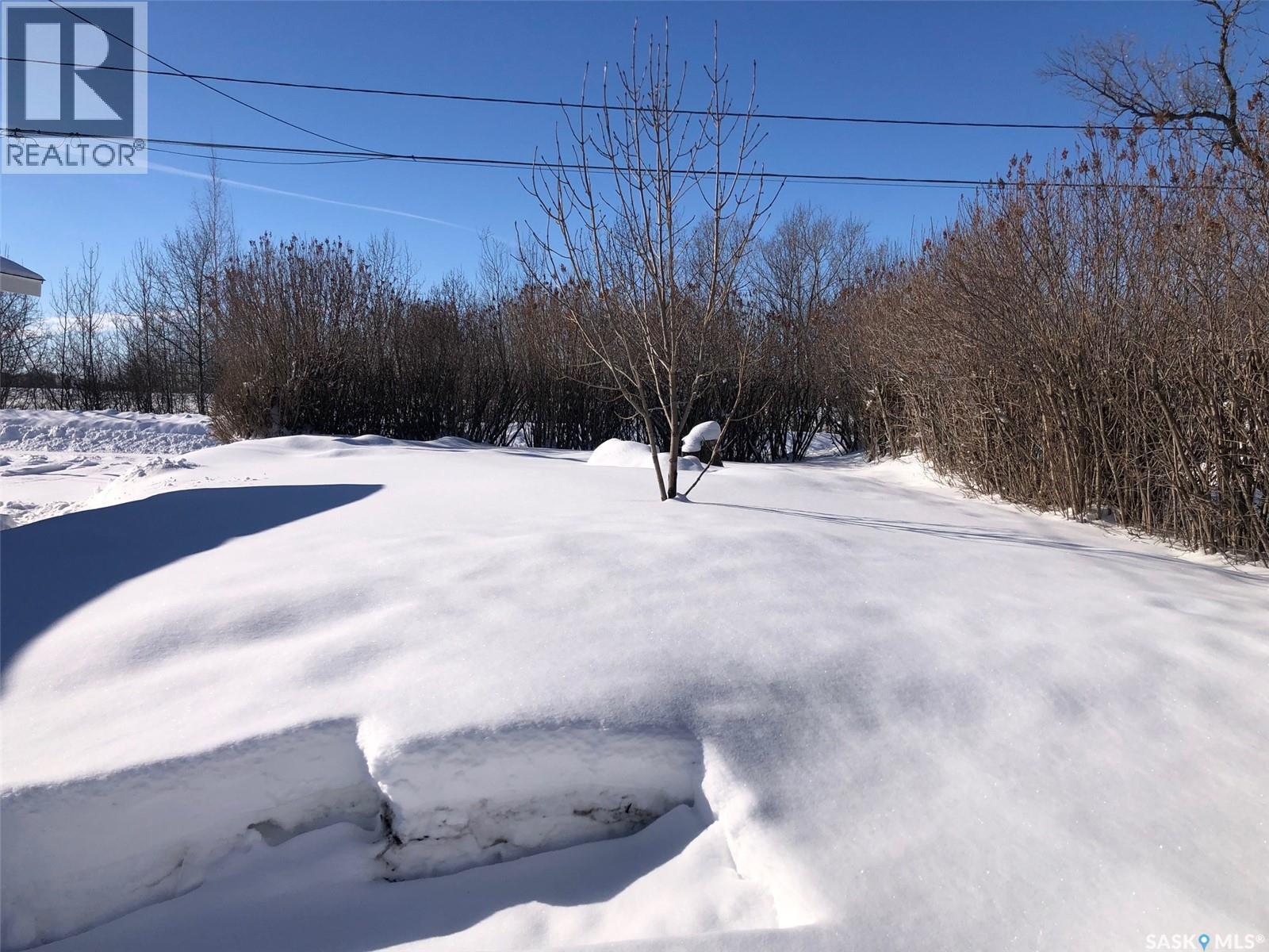 146 Jubilee Crescent, Canora, Saskatchewan  S0A 0L0 - Photo 48 - SK029110