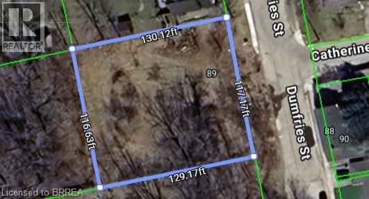 89 Dumfries Street, Paris, Ontario  N3L 2E5 - Photo 1 - 40806961