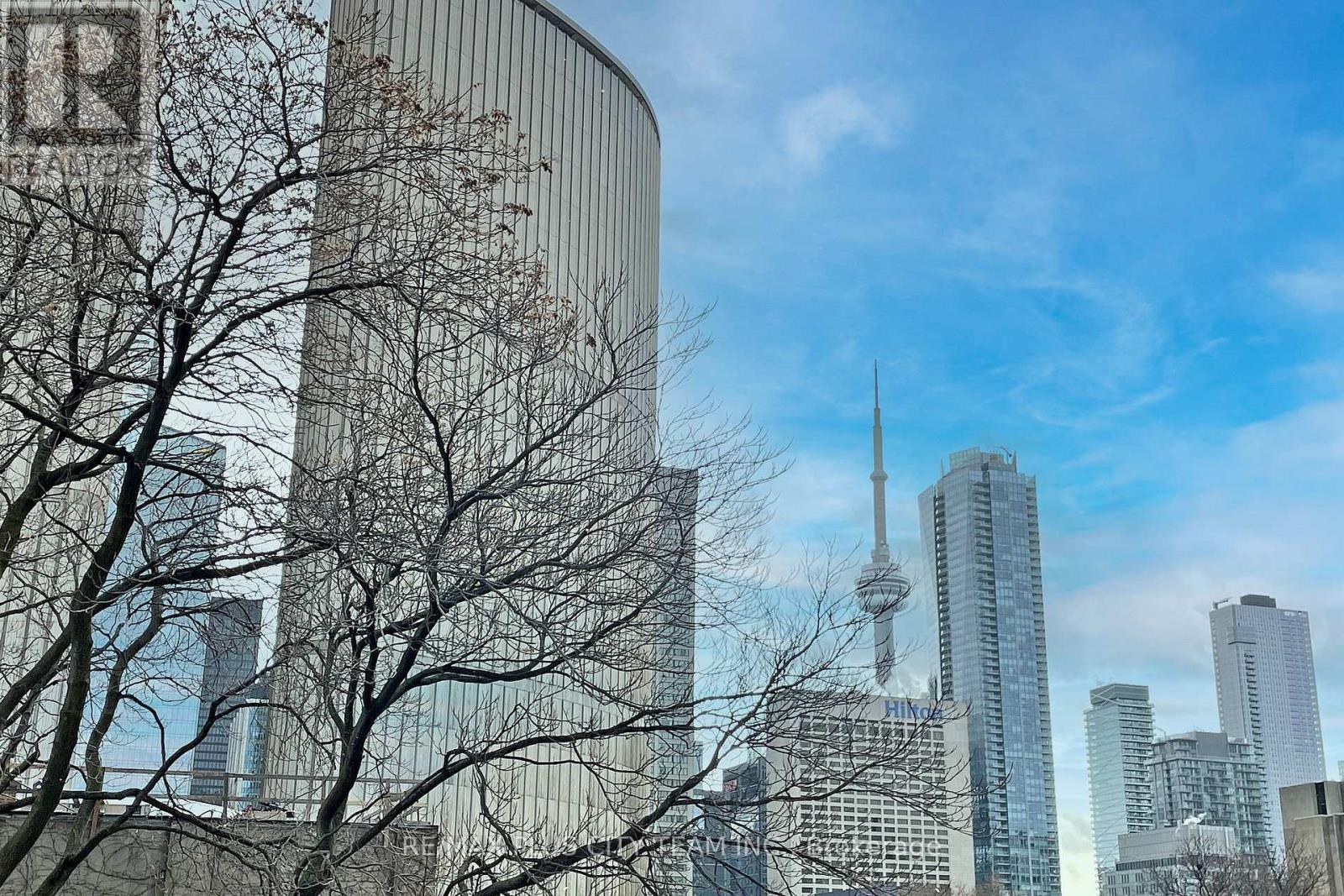 308 - 111 Elizabeth Street, Toronto, Ontario  M5G 1P7 - Photo 26 - C12817038